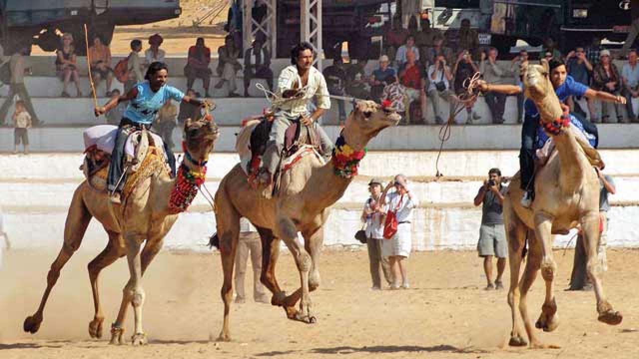 Camel Race Pushkar, Pushkar Camel fair