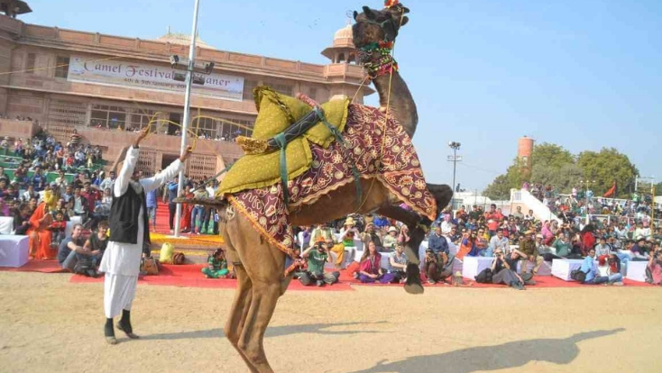 camel fair bikaner, rajasthan tourism,travel india,india tour,tailor made holidays