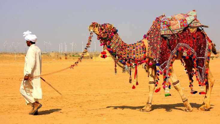 pushkar fair,pushkar rajasthan,biggest camel fair,rajasthan tourism,travel india